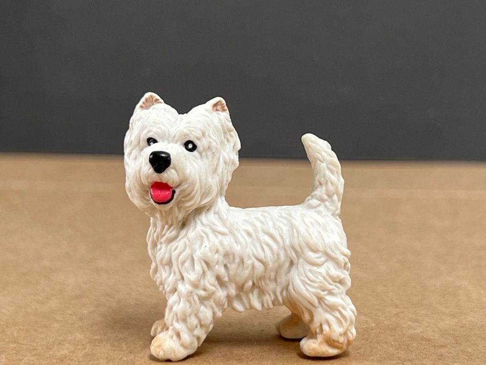 A New Owner's Guide to West Highland White Terrier: Martin, Dawn: 9780793827657