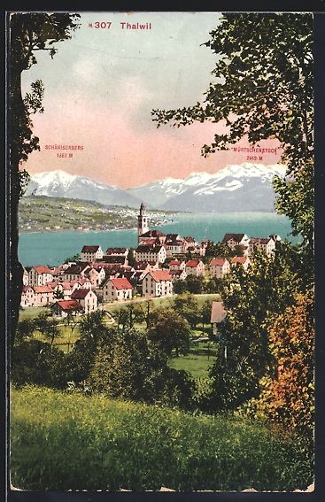 Ansichtskarten: Thalwil, Teilansicht mit Schänisberg un – Gebraucht aus Berlin von bartko-reher
