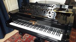 Wunderschöner Bechstein Flügel aus 1894, komplett revidiert