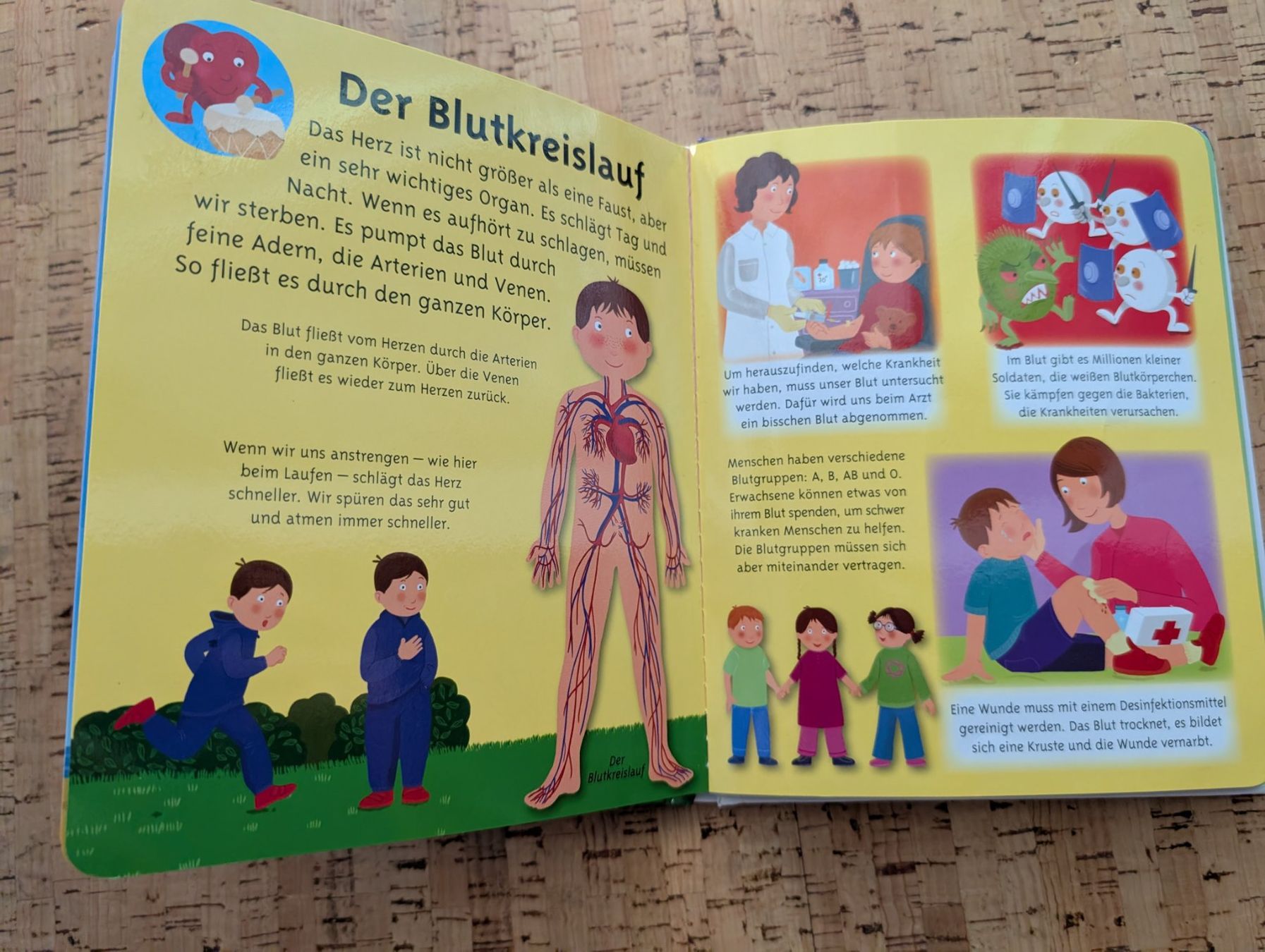 Libri: Kinderbuch Der Körper Sehen & Lernen abwaschbare Seiten – Usato da Safenwil venduto da Ayleen03 2