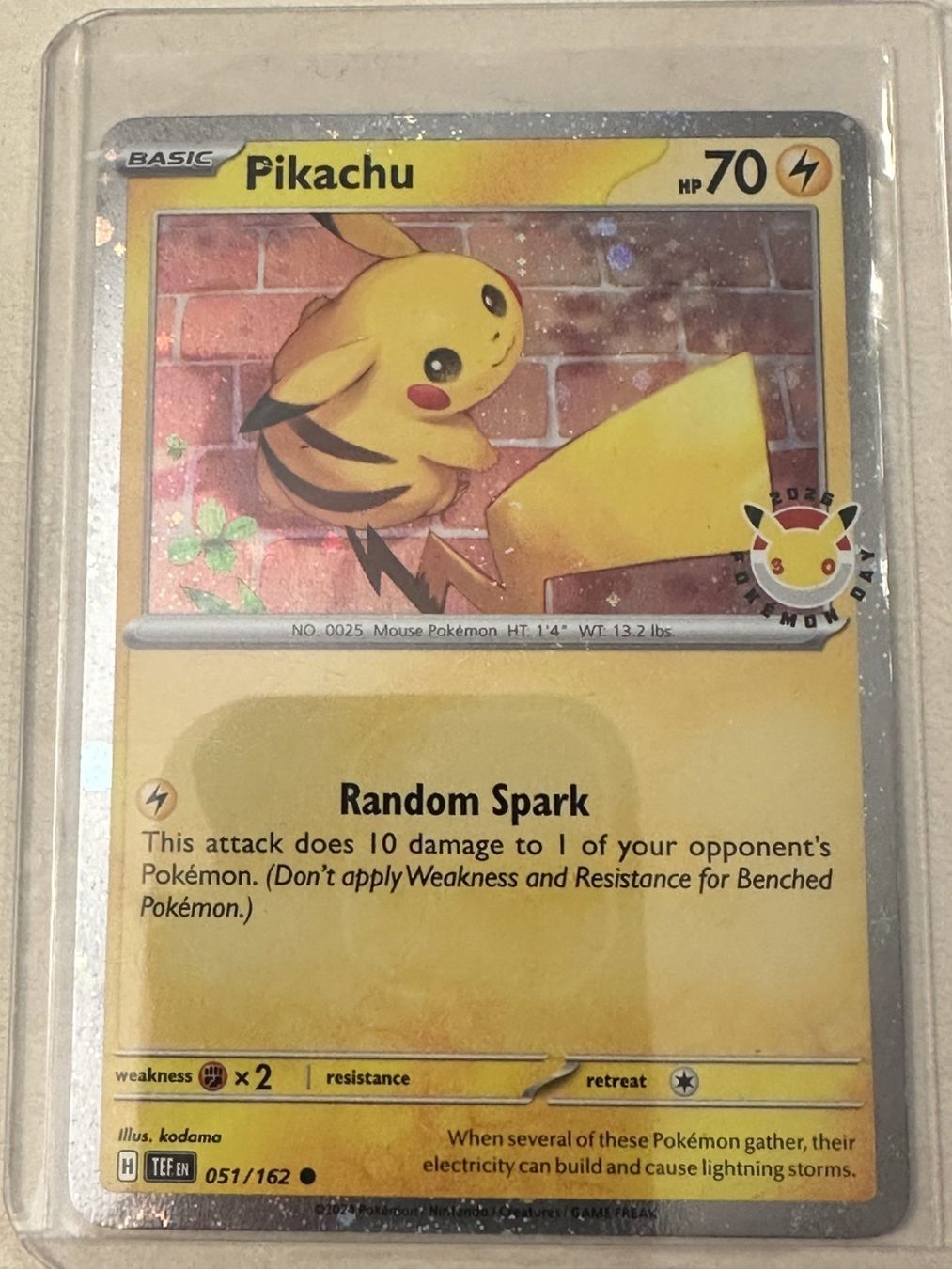 Pokémon Carte collezionabili: Pokémon - Pikachu TEF EN – Nuovo (secondo la descrizione) da Steffisburg venduto da Pat_Stoll