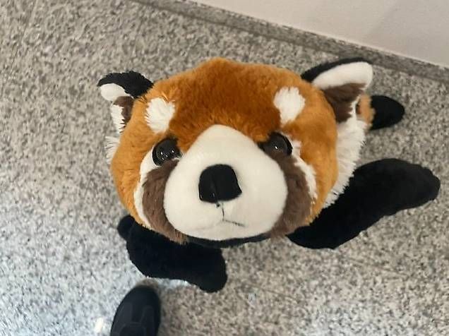 Giocattoli: Grosser "Roter Panda" – Usato da Zug venduto da Sotto2025 2