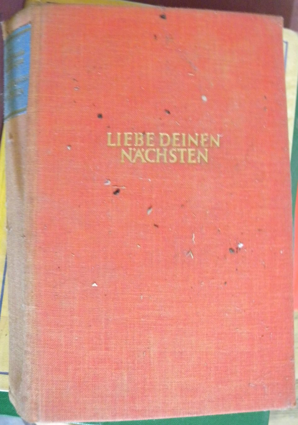 Libri: "Liebe Deinen Nächsten" von Remarque! – Usato da Hauenstein venduto da Danbach