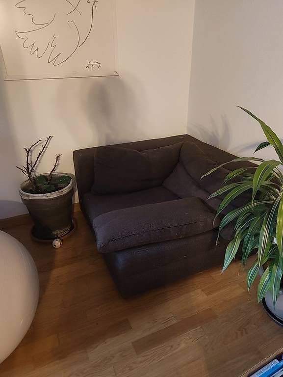 Sofas: Grosses bequemes Sofa GRATIS – Gebraucht aus Münchenstein von CoraJ 1