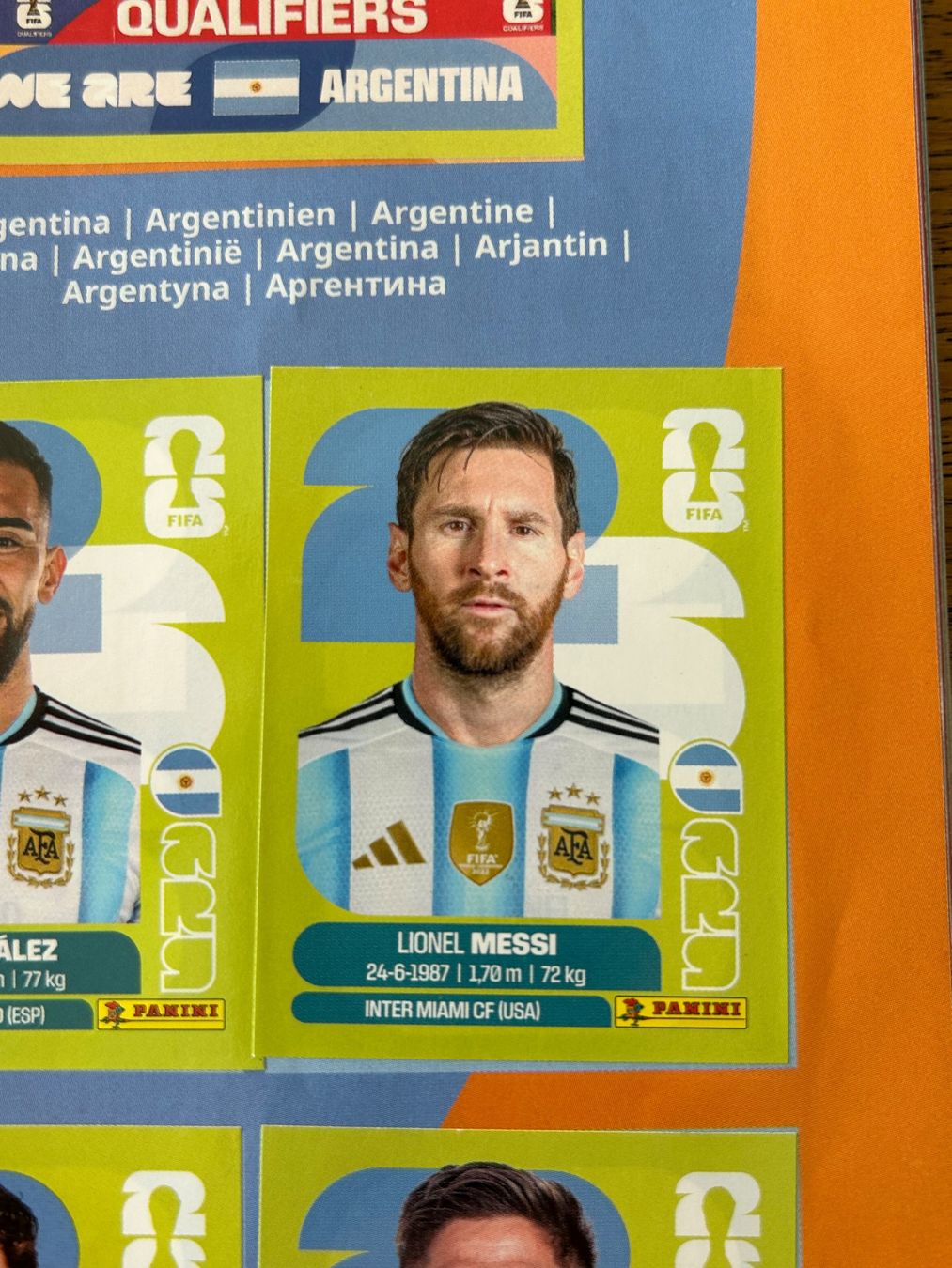 Panini Album: Panini Album Komplett + doppelte Sticker – Usato da Altendorf venduto da mareas02 2