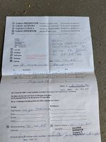 Bilder von Künstlerin