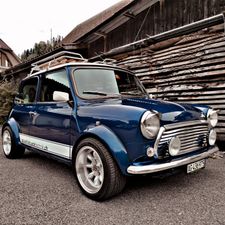 Profile image of mini-freak