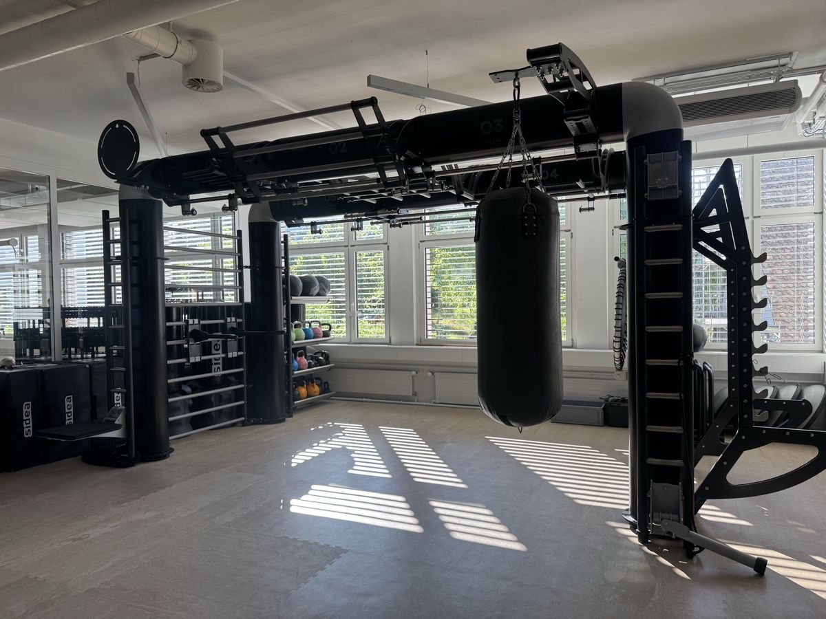 Technogym Hometrainer: Technogym OUTRACE R2-500 AVANTGARDE Functional Tower  – Usato da Wallisellen venduto da witzigs 5