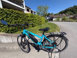 Wheeler E-Bike,Top Zustand, Frühlings-Schnäppchen!