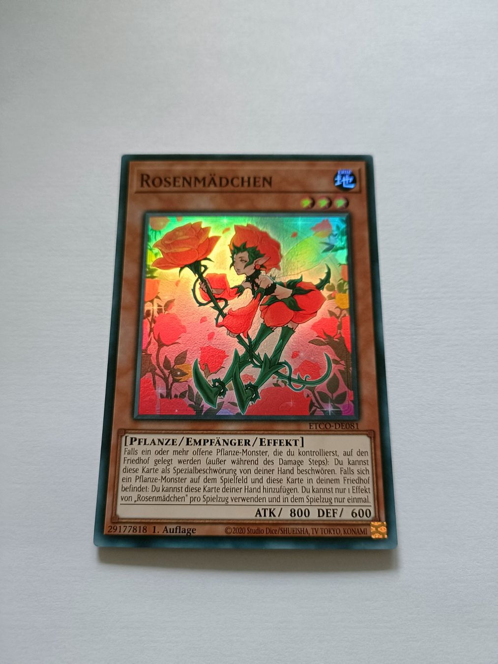 Yugioh Carte collezionabili: Yu-Gi-Oh! Rosenmädchen – Usato da Köniz venduto da Gamecollect