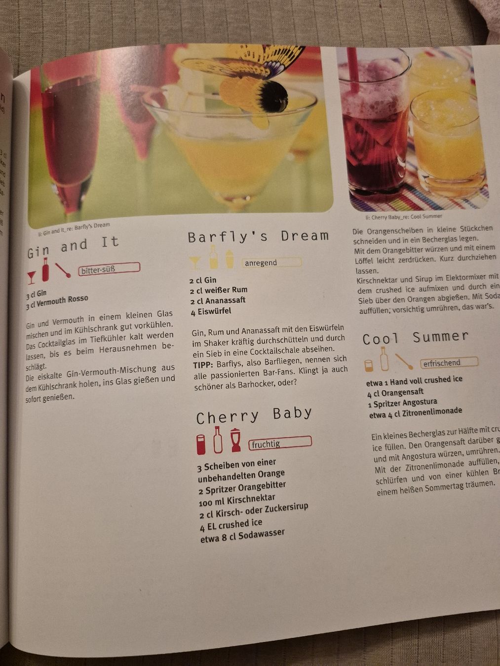 Bücher: Cocktail Basics – Neu (gemäss Beschreibung) aus Pfaffnau von gologoldun1953 4