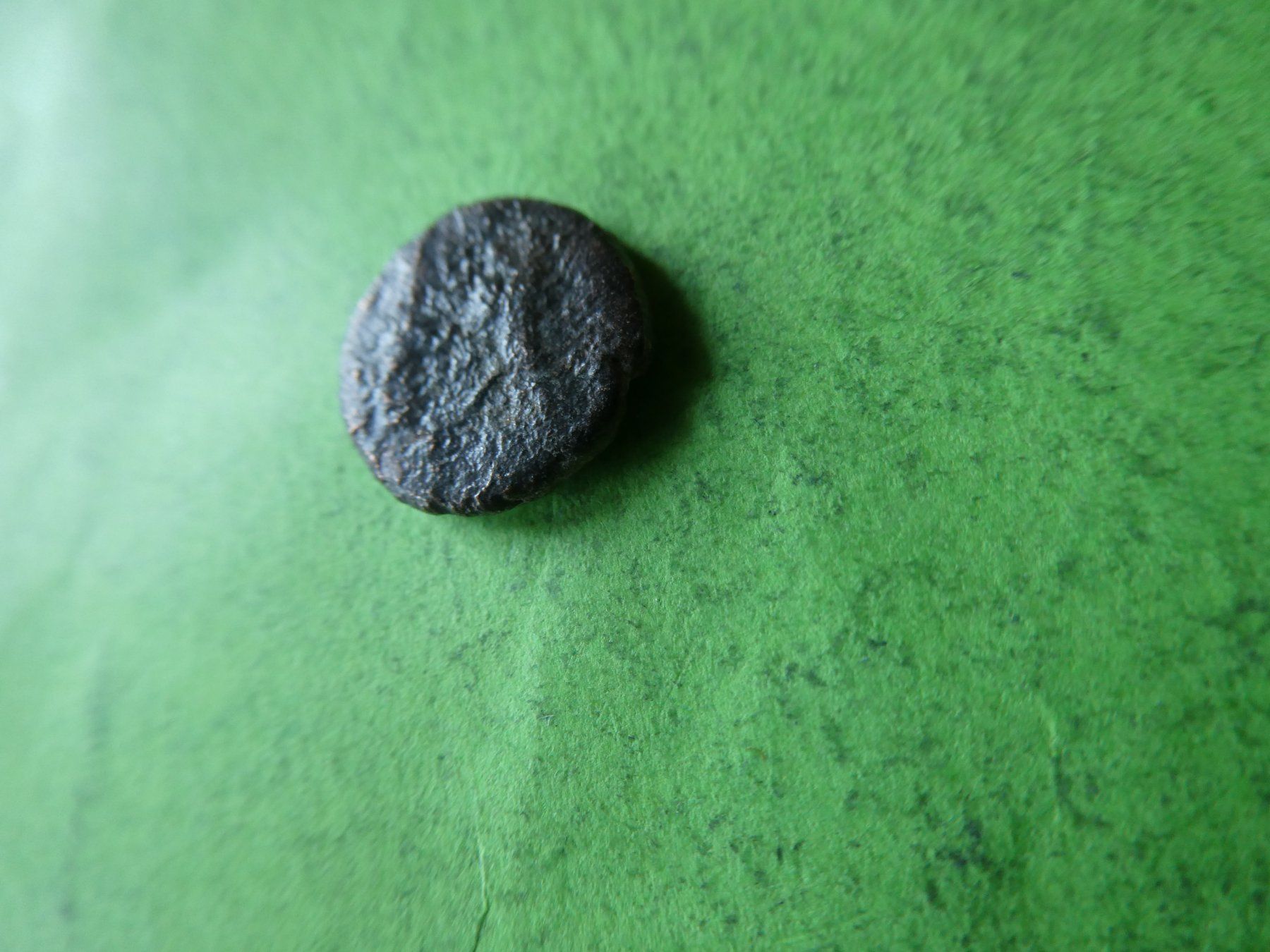 Tutti le monete: uralte Bronzemünze Kopf  13 mm     1.85 g – Usato da Hinterforst venduto da Rohusri 1