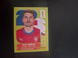 Panini WM 26 CZE 9