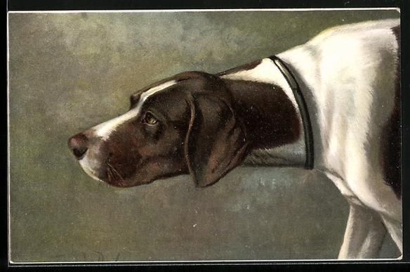 Cartoline postali: Vorsichtig nähert sich ein Jagdhund jem – Usato da Berlin venduto da bartko-reher