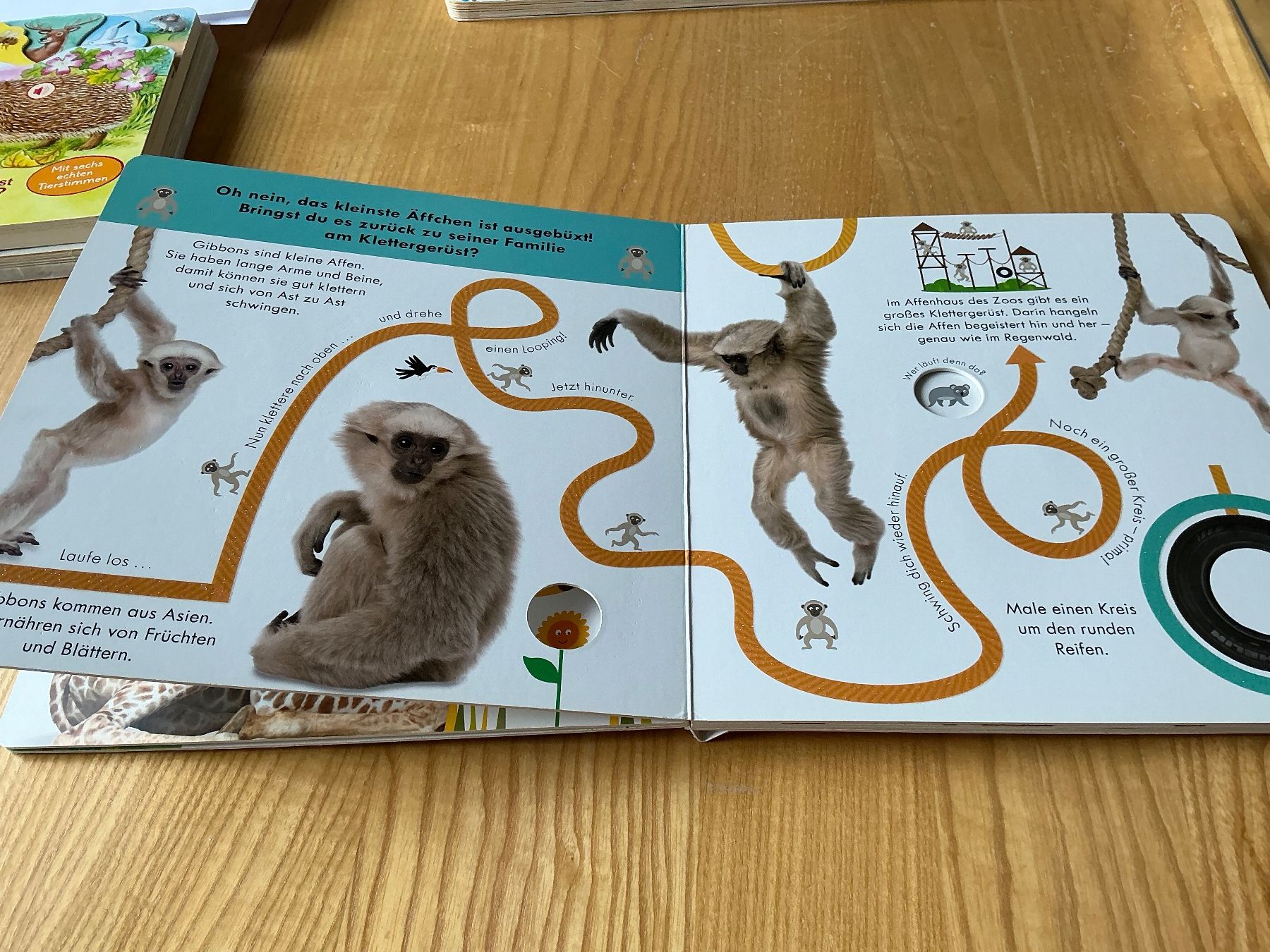 Bücher: Fingerspurbuch "Im Zoo", mit Geräuschen – Gebraucht aus Oberdorf SO von walterrueefli 1