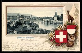 Solothurn, Teilansicht der Stadt, Gemse 