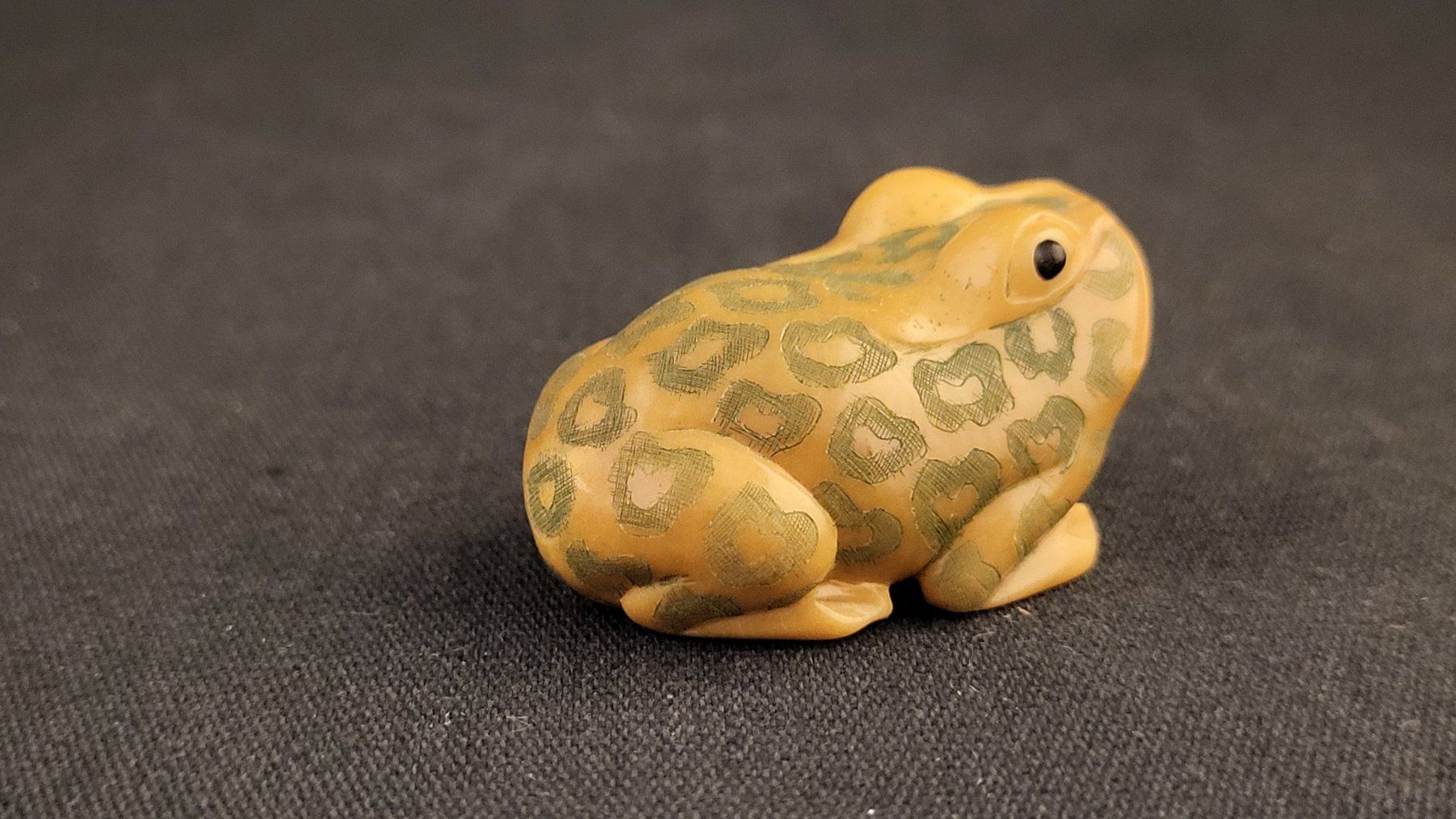 Statuette: Frosch aus Tagua-Nuss, signiert - NETSUKE – Usato da Basel venduto da spinne02 1