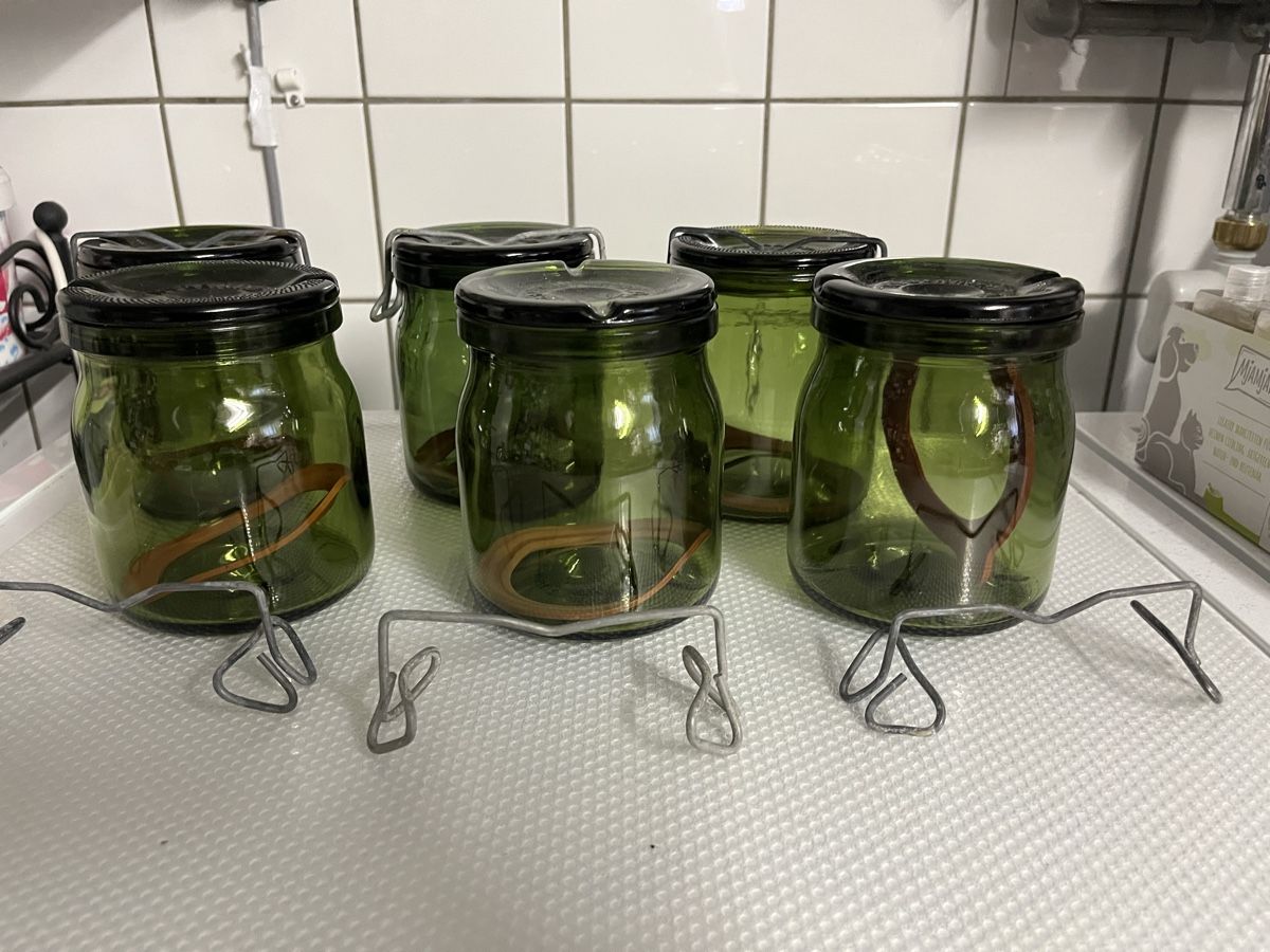 Bülacher Contenitori & Simili: 5 Bülach Weckgläser Einmachgläser Fermentiergläser Gläser – Usato da Frauenfeld venduto da Babytimmy 1