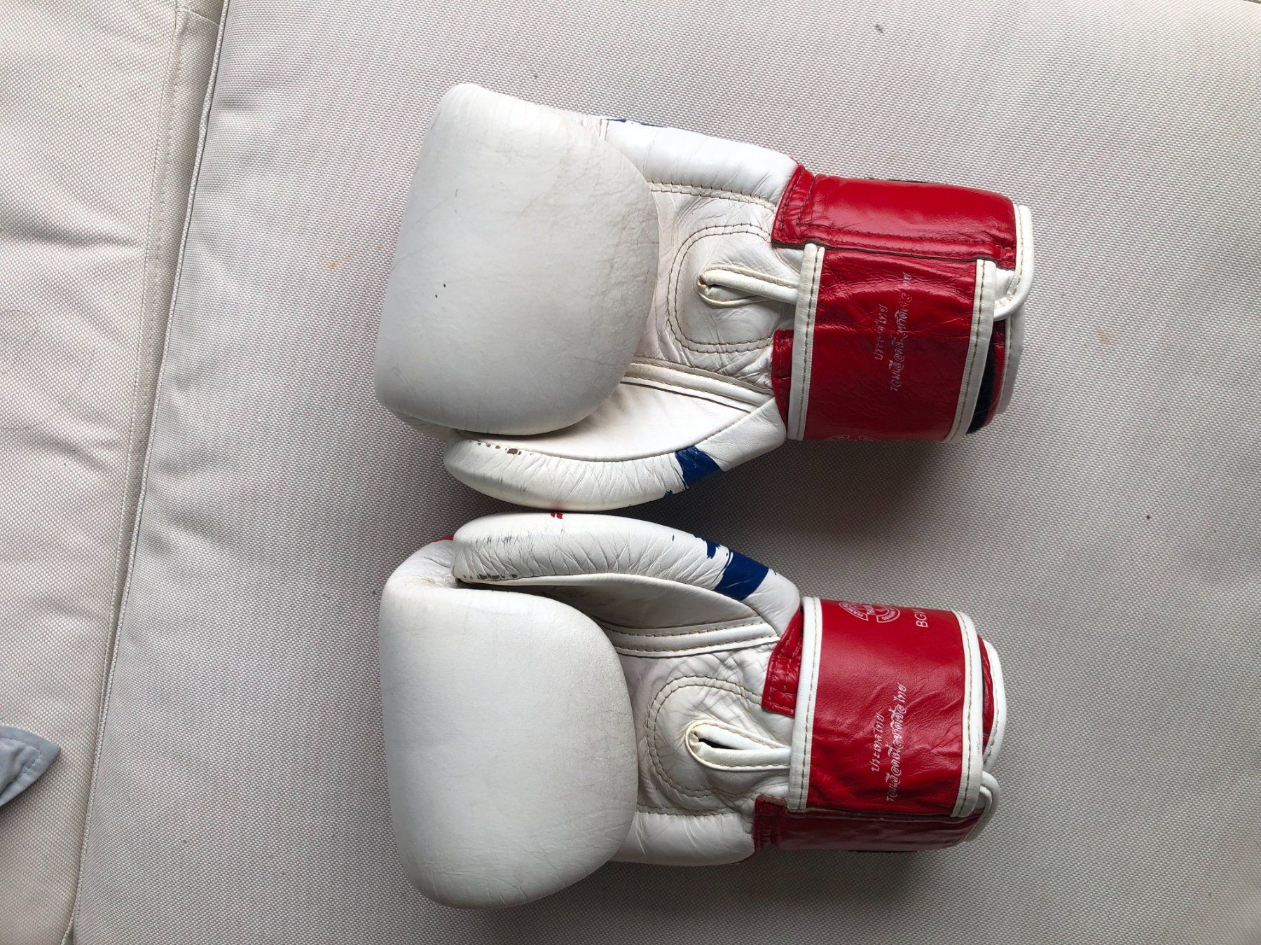 Guanti & manicotti: FAIRTEX BGV1 Thai Pride – Usato da Nyon venduto da ppavlov 1