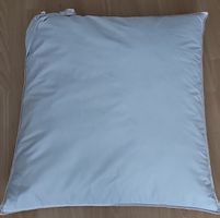 Oreiller Delux blanc garnissage duvet état correct