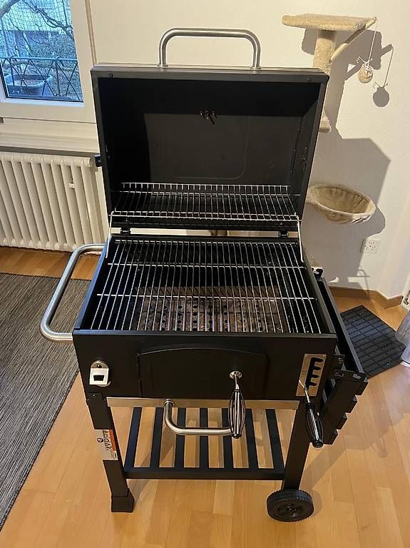 Griglie: Holzkohlegrillwagen – Usato da Bern venduto da giu_f5y2 1