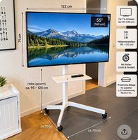 Tv auf Rollen 
