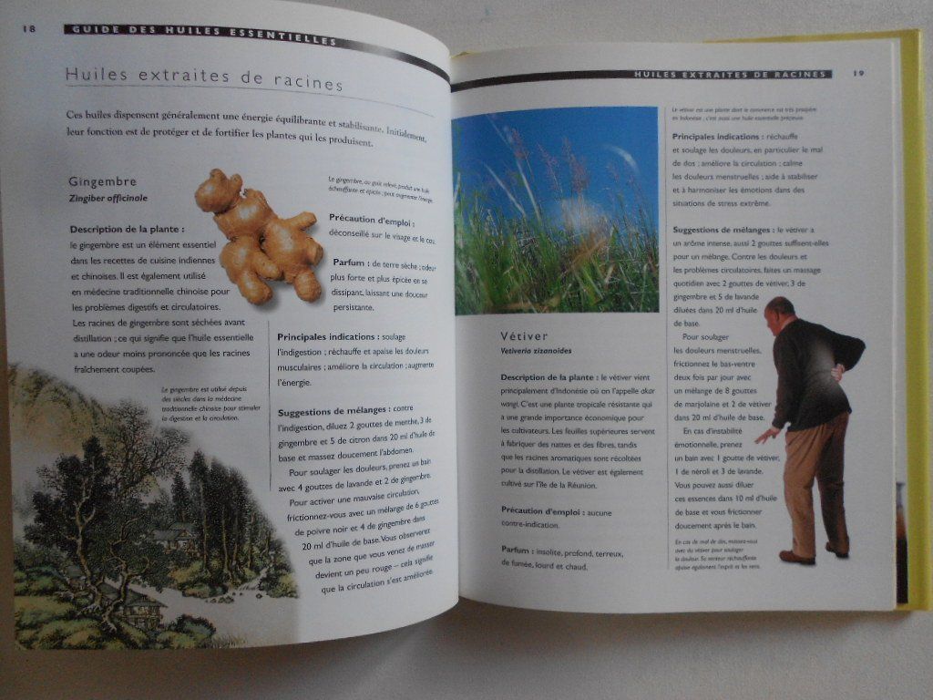 Bücher: GUIDE DES HUILES ESSENTIELLES – Gebraucht aus Bex von Giorgiob 3