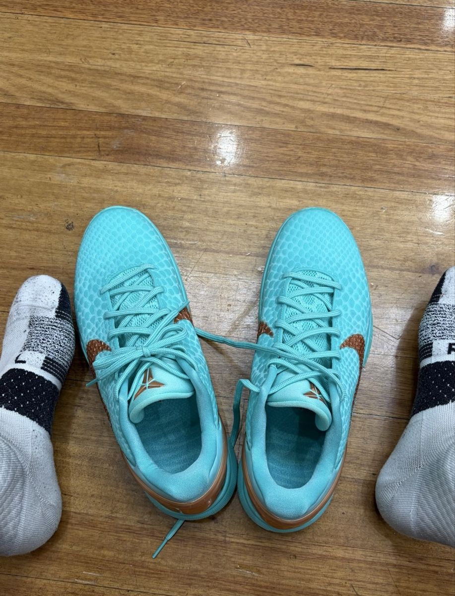 Nike Scarpe da uomo: nike kobe6 New York size 46 – Usato da Zürich venduto da zha_bs5p 1