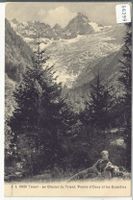 Trient - Le Glacier du Trient - Pointe d'Orny et les Ecandie
