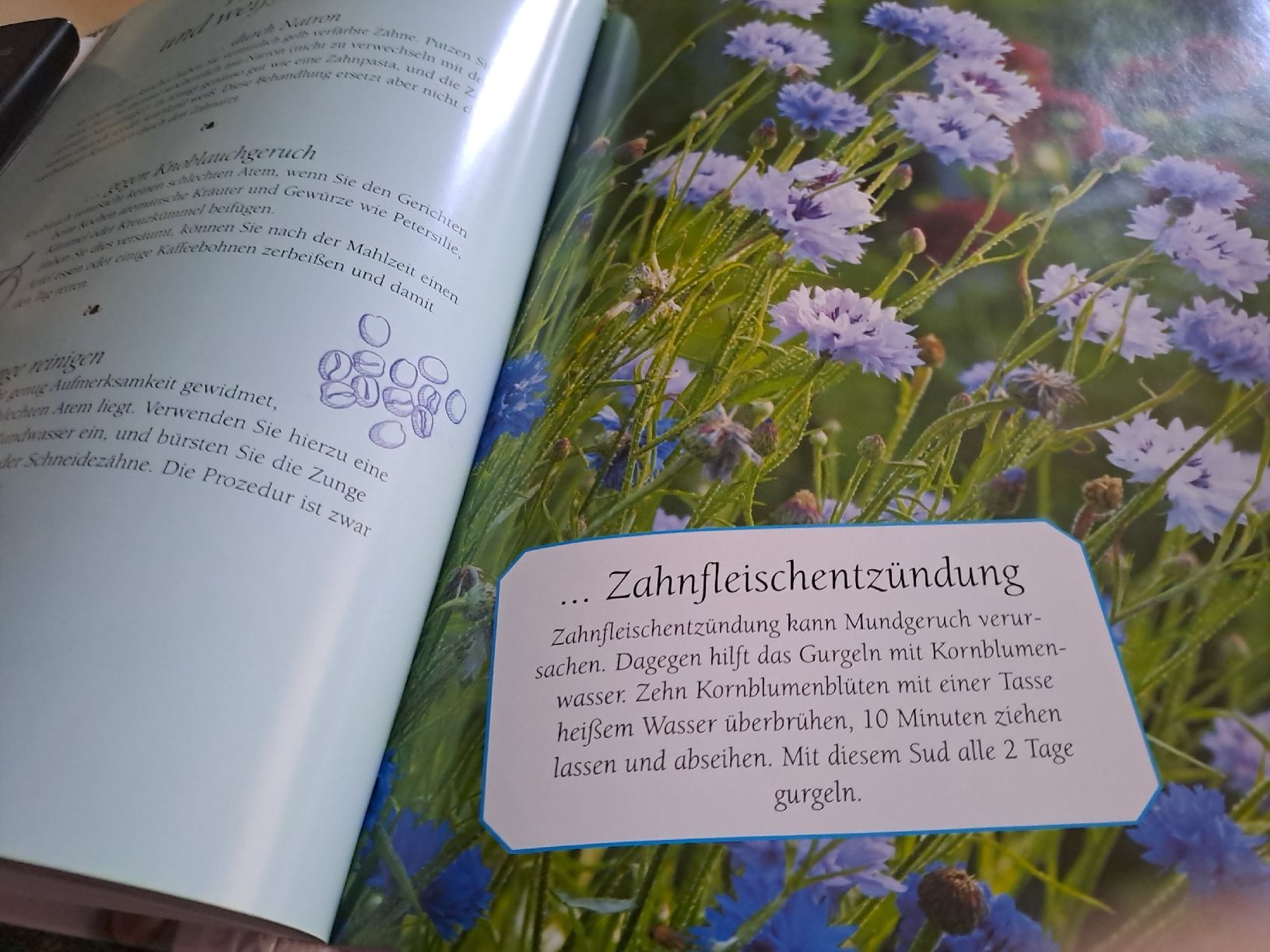 Libri: Omas Haushaltstipps - "Die besten Tipps & Tricks" – Usato da Zürich venduto da Schoebi19 7