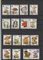 Motiv-Briefmarken: Pilze Paraguay, Guyana, Nordkorea, gest.