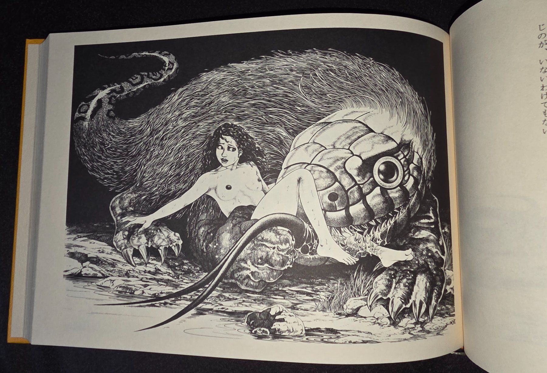 Fumetti: ARTBOOK Shigeru Mizuki – Usato da Thierrens venduto da coc_vk62 6