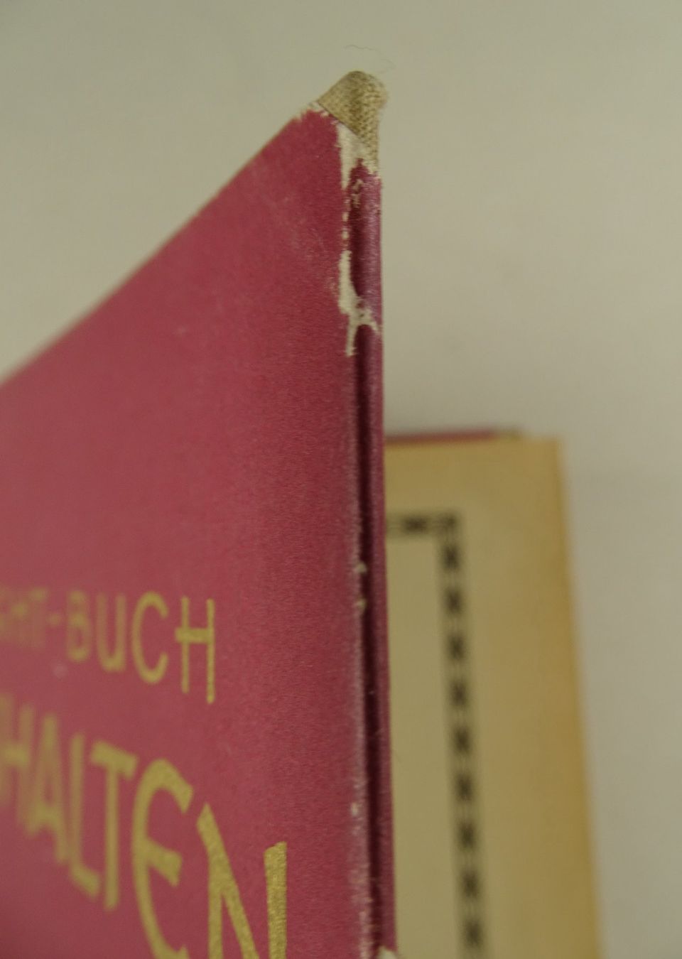 Bücher: SUNLIGHT-BUCH HAUSHALTEN, 20er JAHRE – Gebraucht aus Grüningen von Kartensammler 1