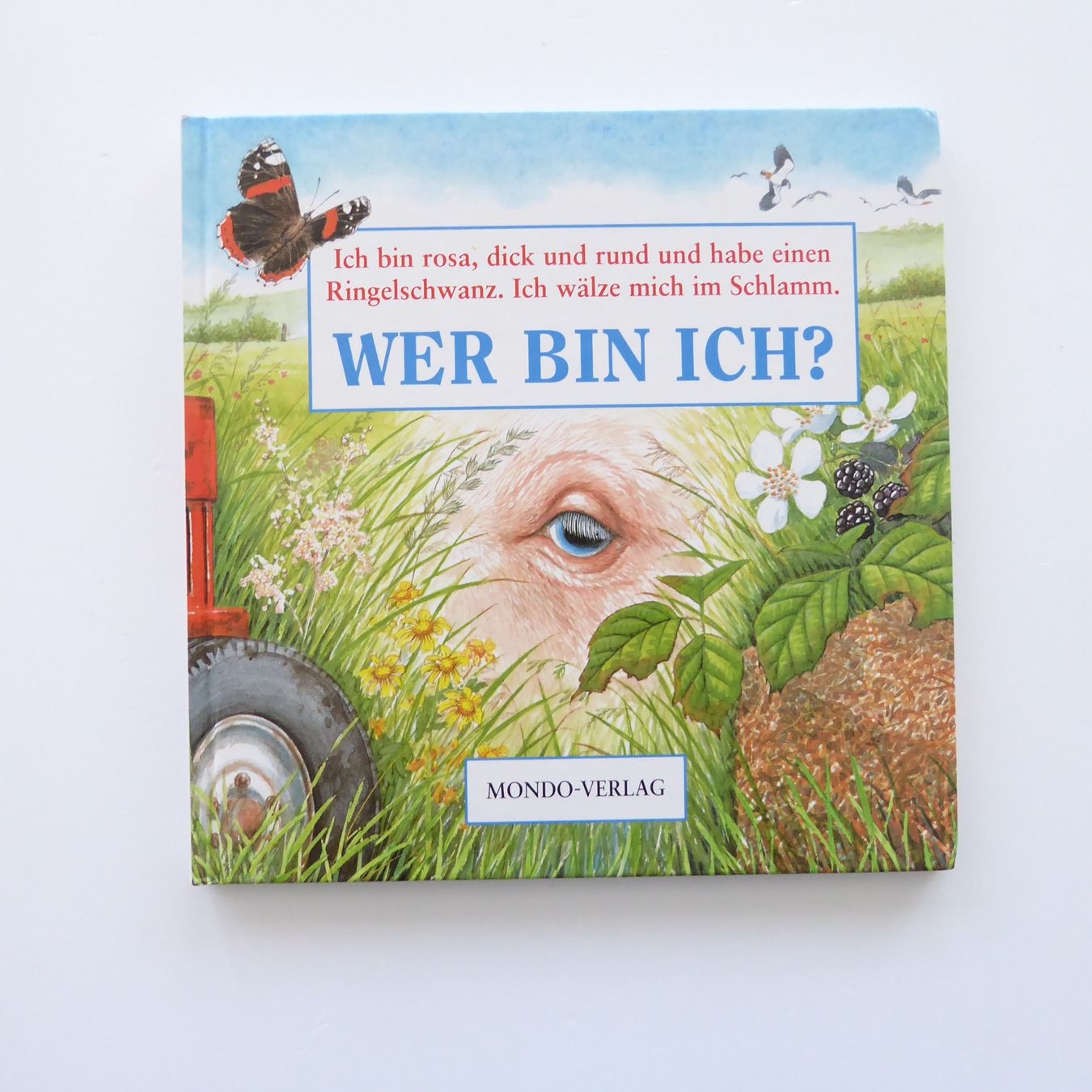 Livres: Wer bin ich? – D'occasion à Basel par Kunterbunt12