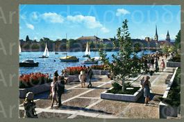 AK color Zürich ZH belebter Utoquai mit Blumen ≈ 1960