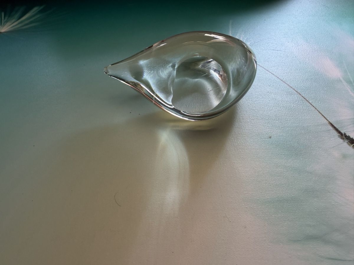 Sculture & Statue: Putzender Schwan - Glas Skulptur – Nuovo (secondo la descrizione) da Wolfwil venduto da jam_xzn2 4