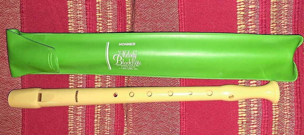 Strumenti musicali: Blockflöte plastik Melody – Usato da Schlieren venduto da Rcaliforni 1