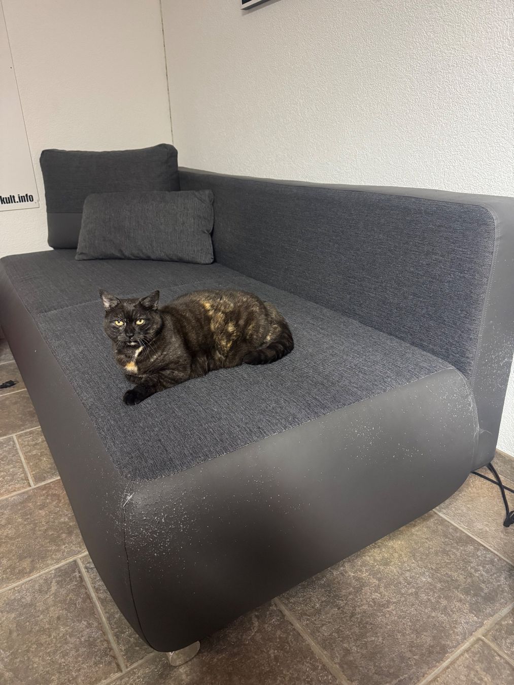 Divani: Bett-Sofa ohne Katze – Usato da Stetten AG venduto da tmnovoa
