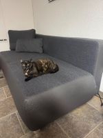 Bett-Sofa ohne Katze