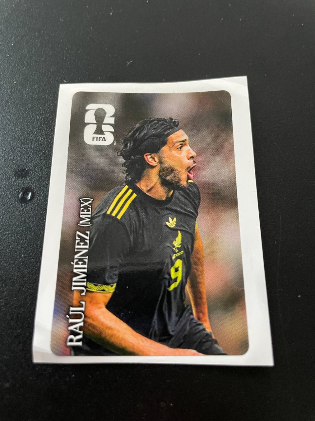 Panini Carte collezionabili: FIFA WM 2026 Sticker CC8 – Usato da Fahrwangen venduto da Venez