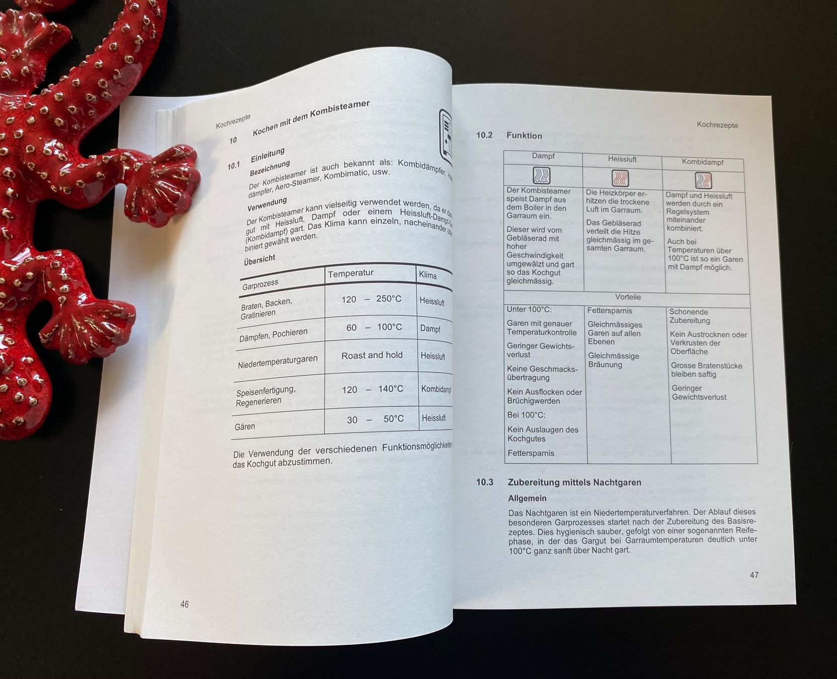 Libri: Schweizer Armee Kochrezepte / Reglement 60.6 d – Usato da Nussbaumen AG venduto da schuba2000 3