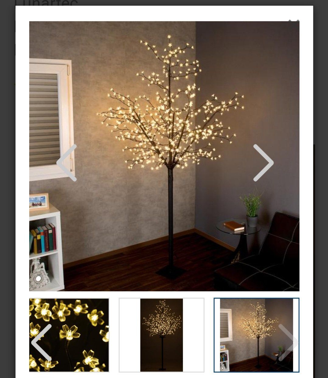 Tutte le decorazioni: 2 alberi di luci per esterno – Usato da Astano venduto da mclotto 5