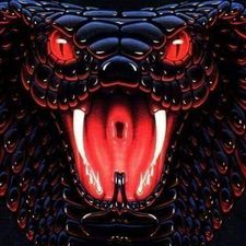 Profile image of mic_zg5z