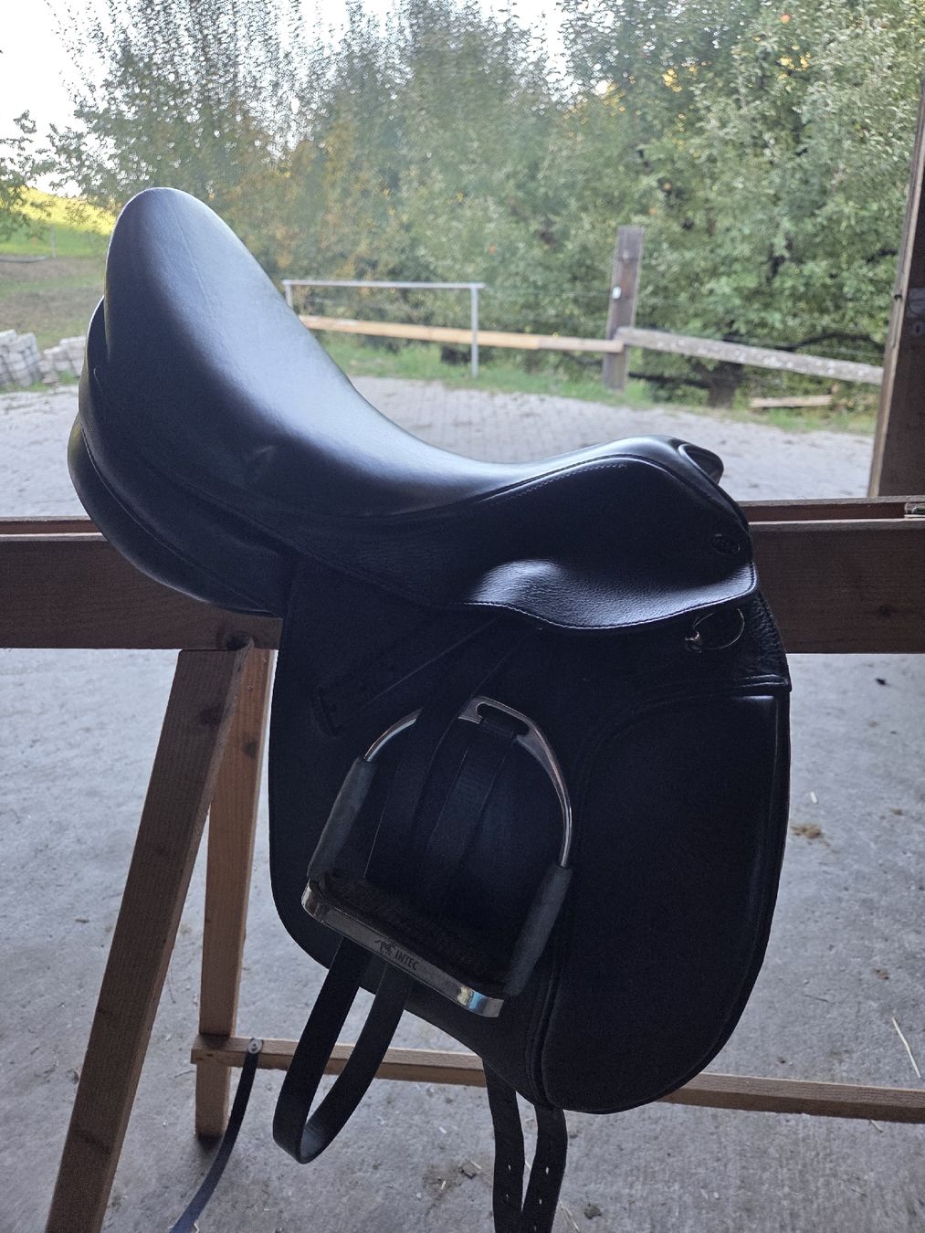 Selle & Accessori: Miss Sattel – Usato da Oberburg venduto da BFED16 3