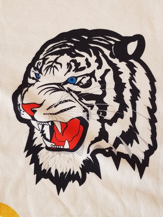 Maillots de corps & Pantalons: HC Liberec Bili Tygri Trikot, Grosse S, Nr. 23- Pajer – D'occasion à Le Mouret par Pantini 1