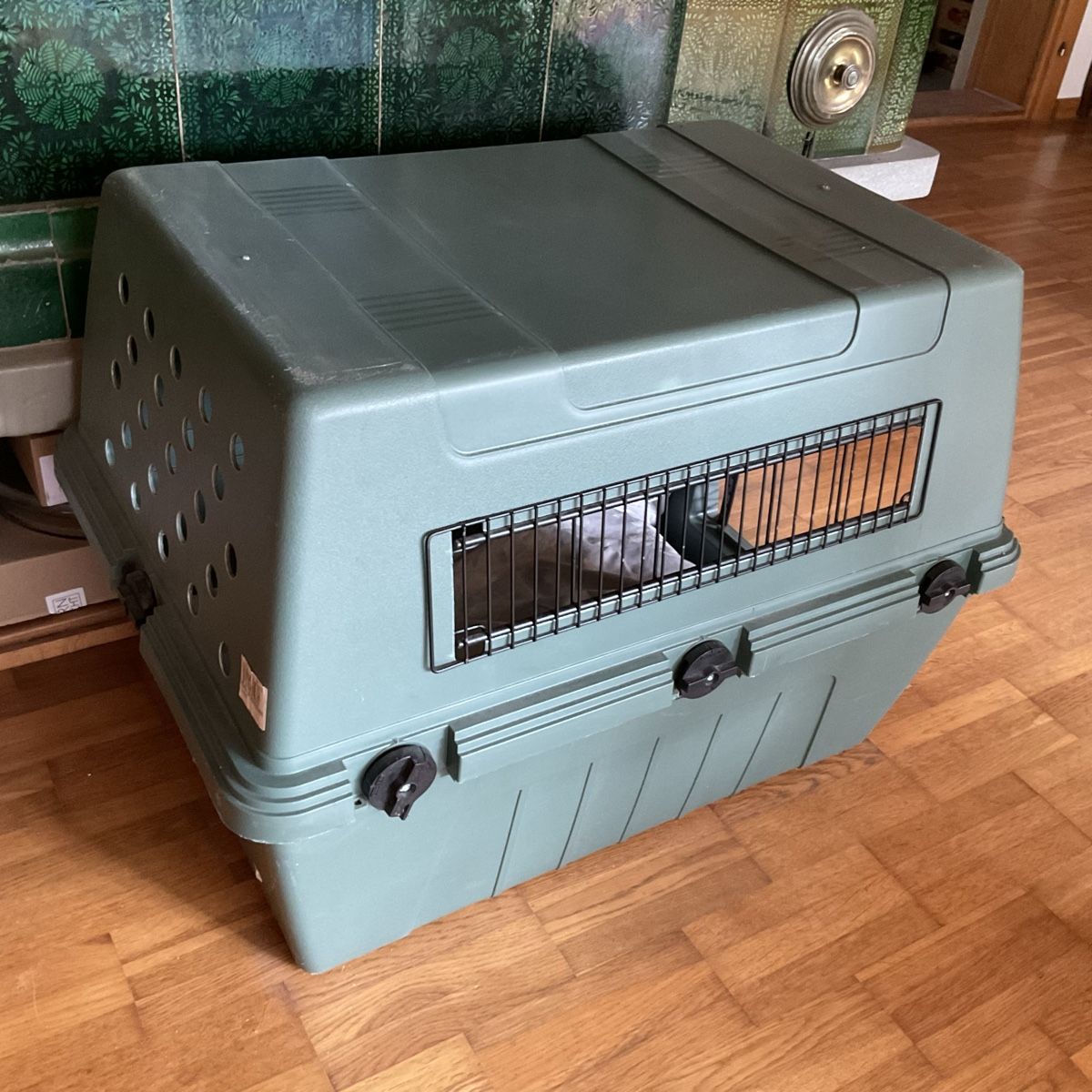Gabbie, trasporto & Sicurezza: Hundebox – Usato da Maur venduto da Rosino 1