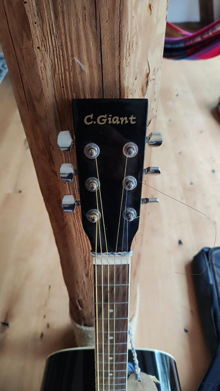 C.Giant Musikinstrumente: Akustik Gitarre von C.Giant – Gebraucht aus Oberneunforn von saloeff 1
