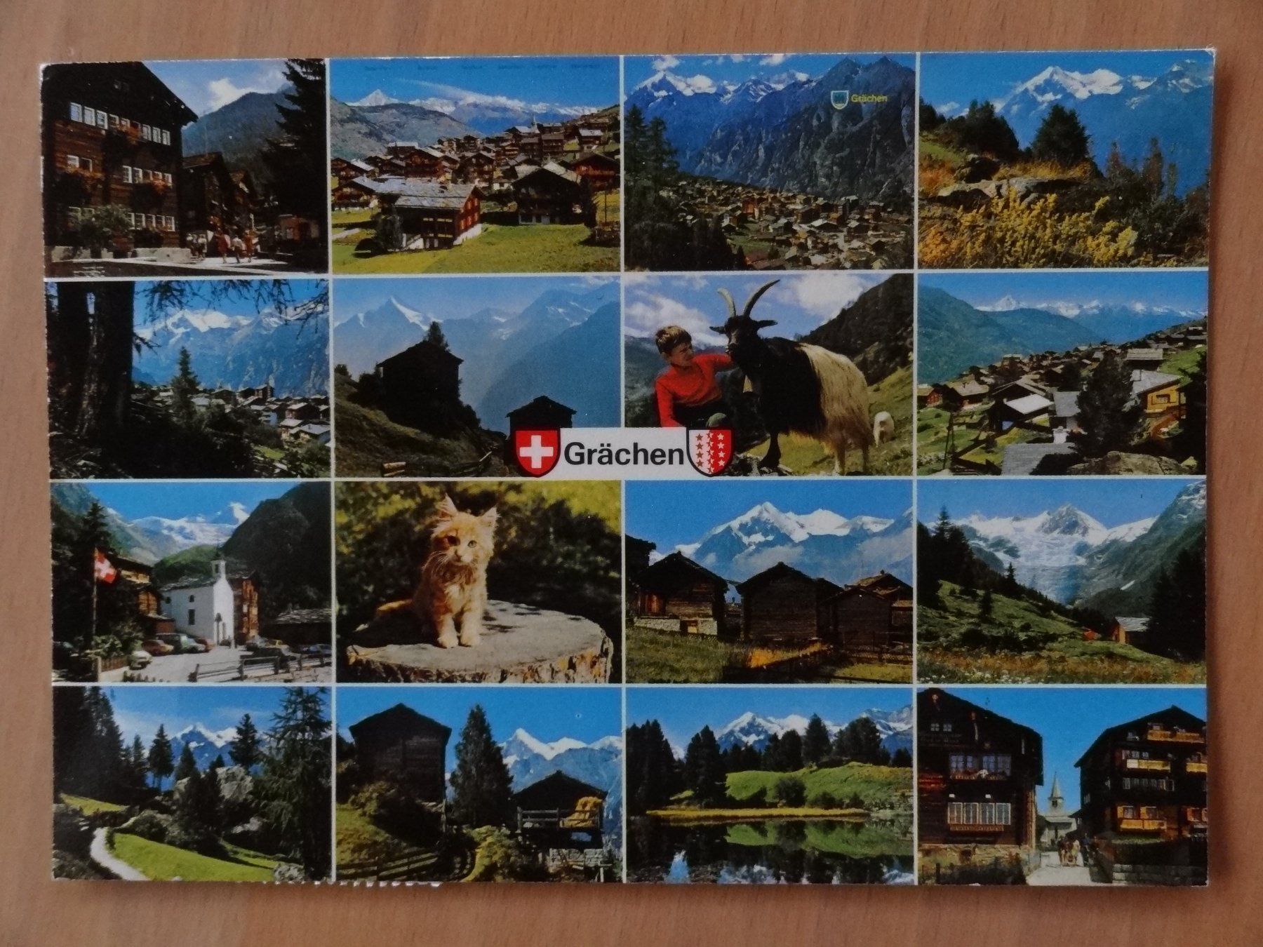 Cartoline postali: Grächen - 1981 – Usato da St Léonard venduto da Riglin