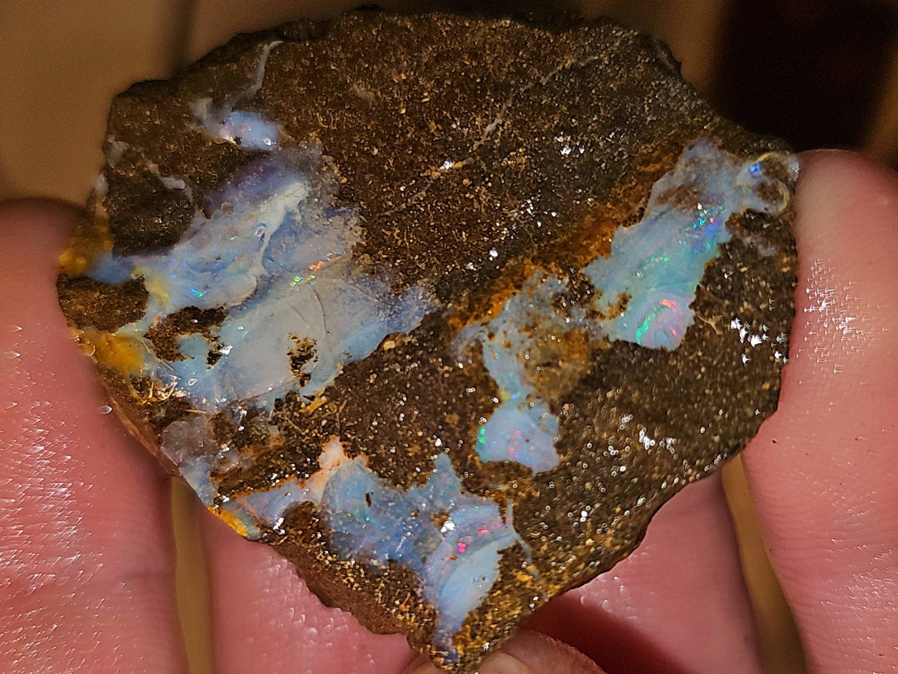 Pietre preziose: Grosser Australischer Boulderopal Rohstein – Nuovo e nell'imballaggio originale da Uerkheim venduto da Winwinner