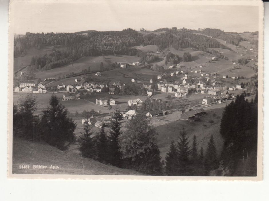 Cartoline postali: Bühler 1948 mit Bahnstempel – Usato da Bürglen TG venduto da StampGraf